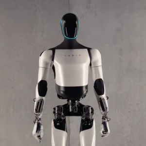 Tesla Optimus Bot Hire